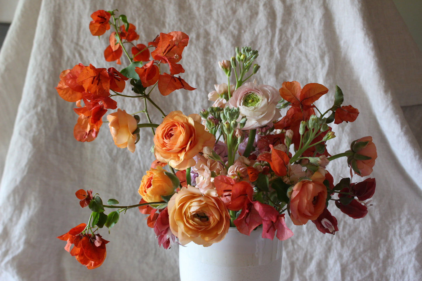 Ranunculus La Belle Champagne