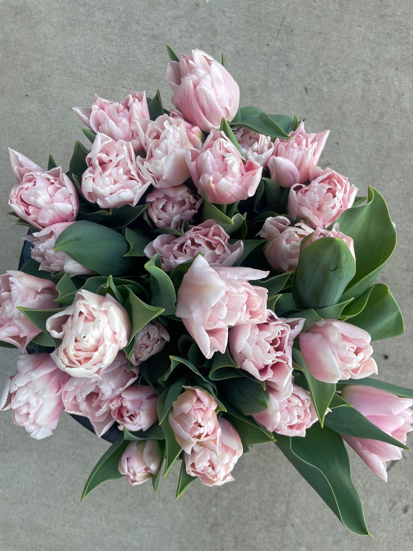 Spring Blooms by the Bunch Subscription