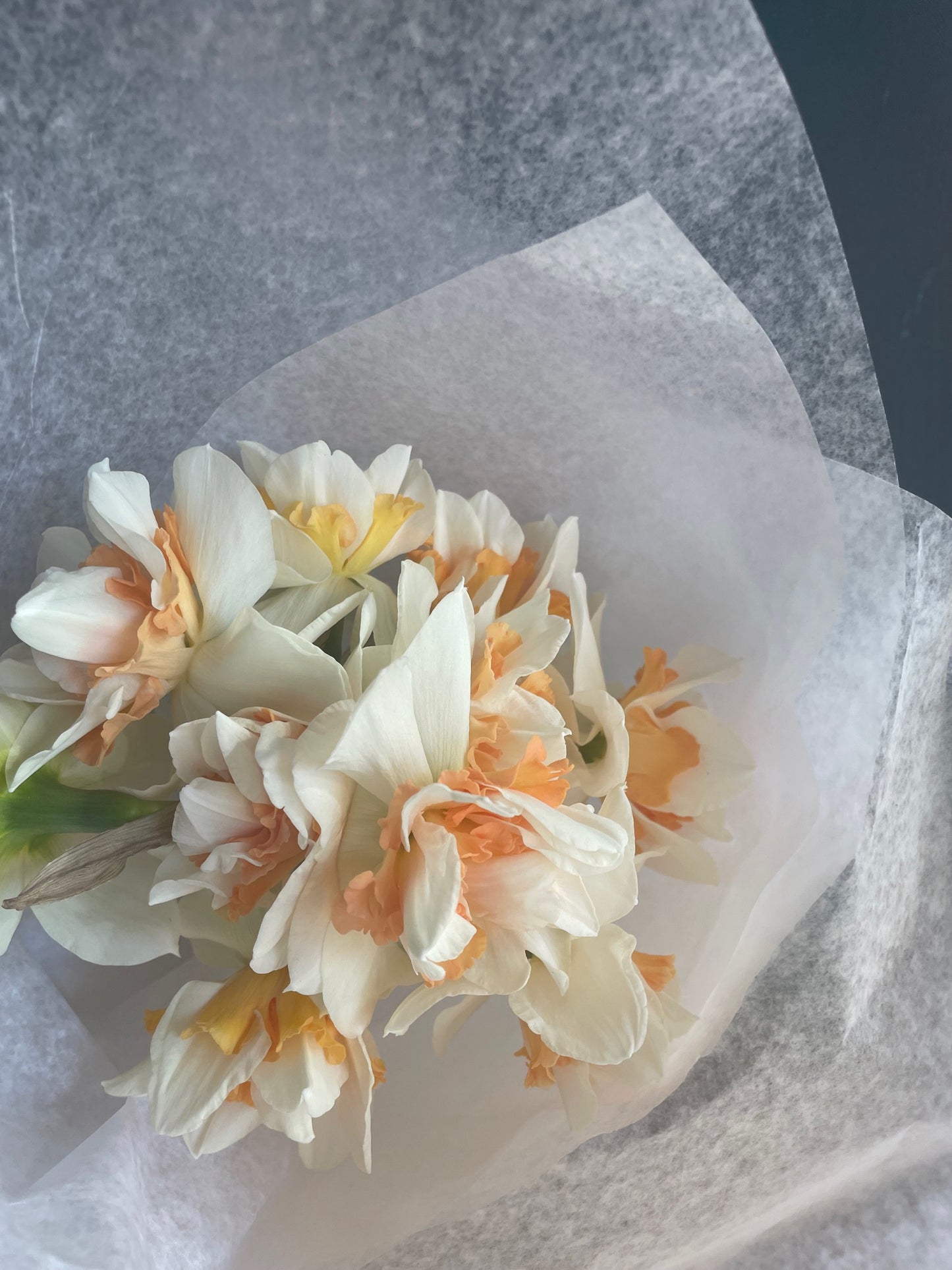 Spring Blooms by the Bunch Subscription