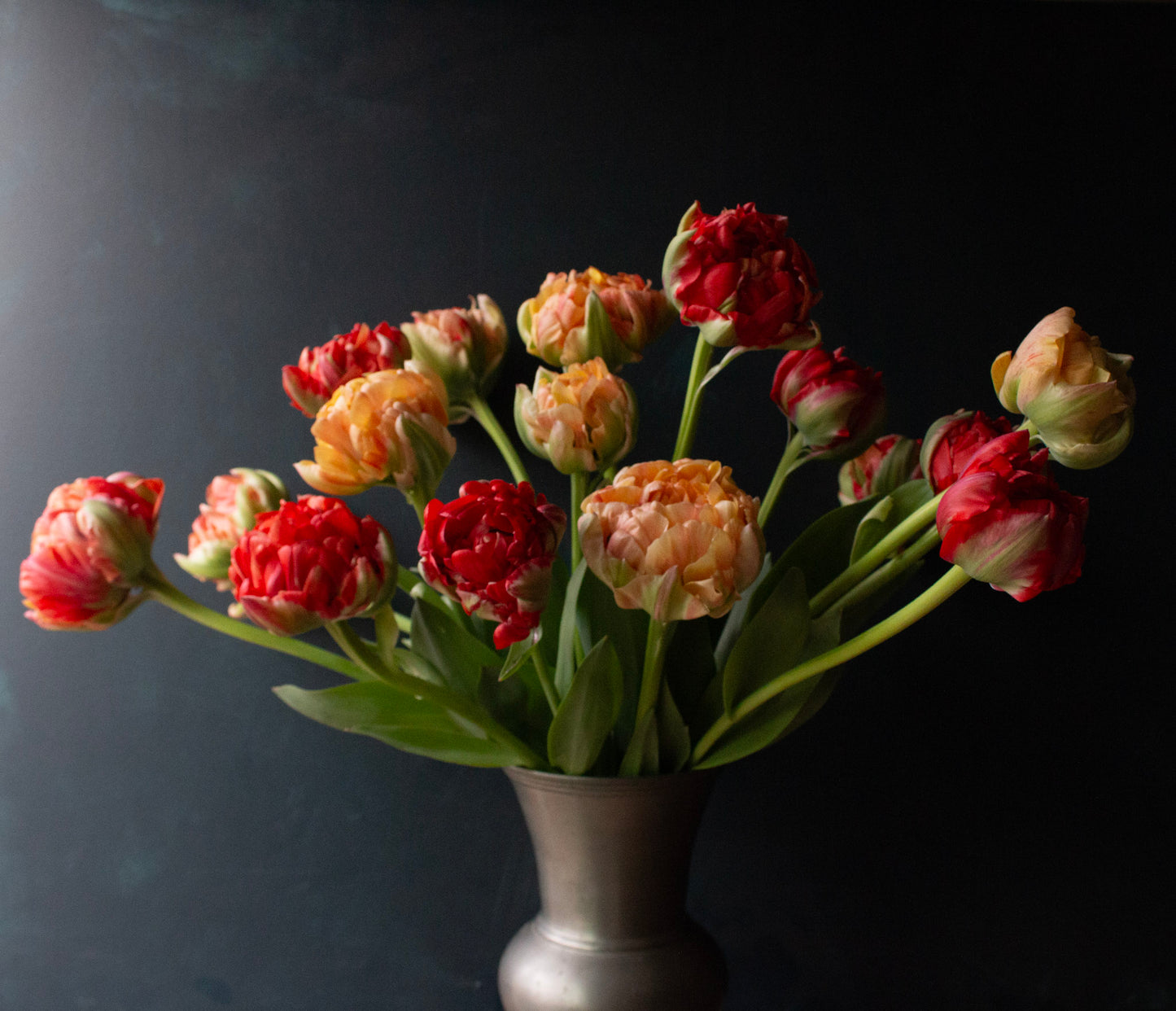Tulips by the Bunch - long stem